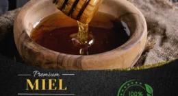 miel-kairouan-miel-tunisie-meilleur-miel-tunisie-fournisseur-miel-tunisie-vente-miel-tunisie-la-ruche-miel-tunisie