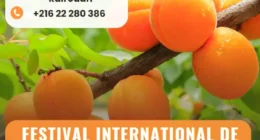 Festival International de l’Abricot à Hajeb Layoun kairouan
