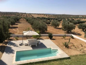 maison-hote-Kairouan-el-kabbara