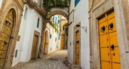 Pourquoi investir dans l’immobilier en Tunisie ?