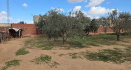 Contrat de vente voiture en Tunisie