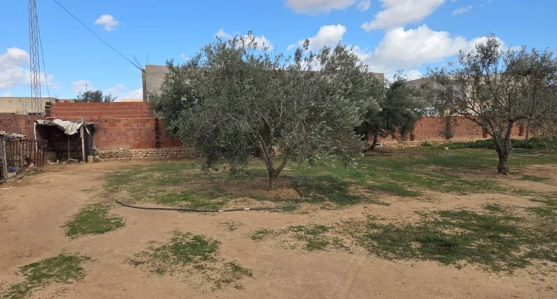 Contrat de vente voiture en Tunisie