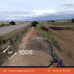 1000 متر طريق العوامرية – زميط