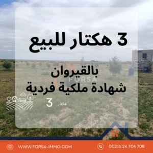 3 hectart a kairouan